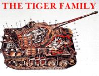 20885 - Scheibert, H. - Tiger Family