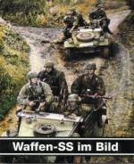 21369 - AAVV,  - Waffen SS im Bild