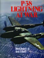 22702 - Christy-Ethell, J.-J. - P-38 Lightning at War