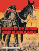 34236 - Johnson, P.L. - Horses of the German Army in World War II