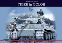 35348 - Trojca, W. - Tiger in Color