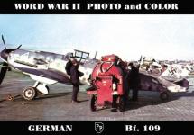 37715 - Trojca, W. - German Bf 109 - World War II Photo and Color