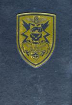 39259 - Special Operations Association,  - Special Operations Association Commemorative Book