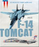 40021 - Lert, F. - Avions de combat Americains 01: Grumman F-14 Tomcat au combat  (Les)