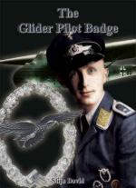 40131 - Stijn, D. - Glider Pilot Badge (The)
