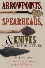 42087 - Wilson, T. - Arrowpoints, Spearheads, and Knives of Prehistoric Times