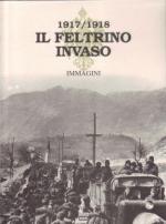 54760 - AAVV,  - 1917/1918 Il Feltrino invaso. Immagini