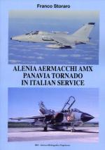 55804 - Storaro, F. - Alenia Aermacchi AMX - Panavia Tornado in Italian Service