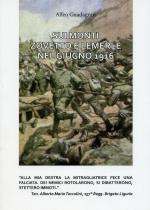 64202 - Guadagnin, A. - Sui Monti Zovetto e Lemerle nel giugno 1916