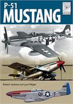 66995 - Jackson, R. - P-51 Mustang - Flightcraft Series 19