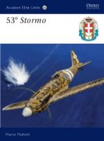 46431 - Mattioli-Caruana, M.-R. - Aviation Elite Units 038: 53. Stormo