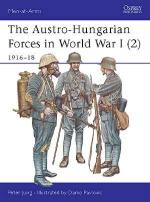 26791 - Jung-Pavlovic, P.-D. - Men-at-Arms 397: Austro-Hungarian Forces in World War I (2): 1916-18
