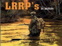 Combat Troops in Action
