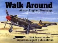 15281 - Phillips, G. - Walk Around 013: Allison Engine Mustang