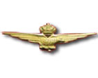 Distintivi / Badges