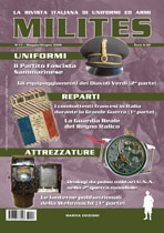 MILITES 17.pdf